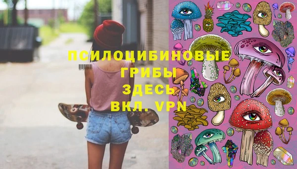 эйфоретик Пролетарск