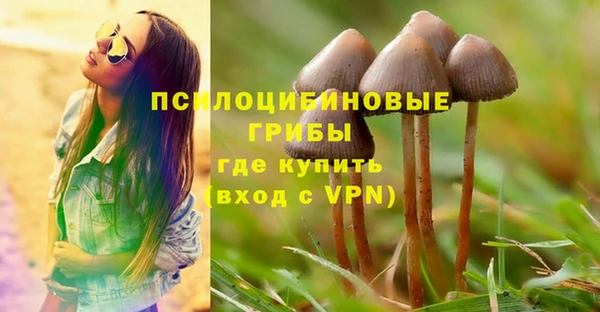 эйфоретик Пролетарск