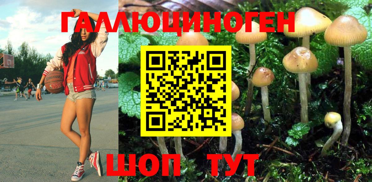 Галлюциногенные грибы MAGIC MUSHROOMS  Полысаево 